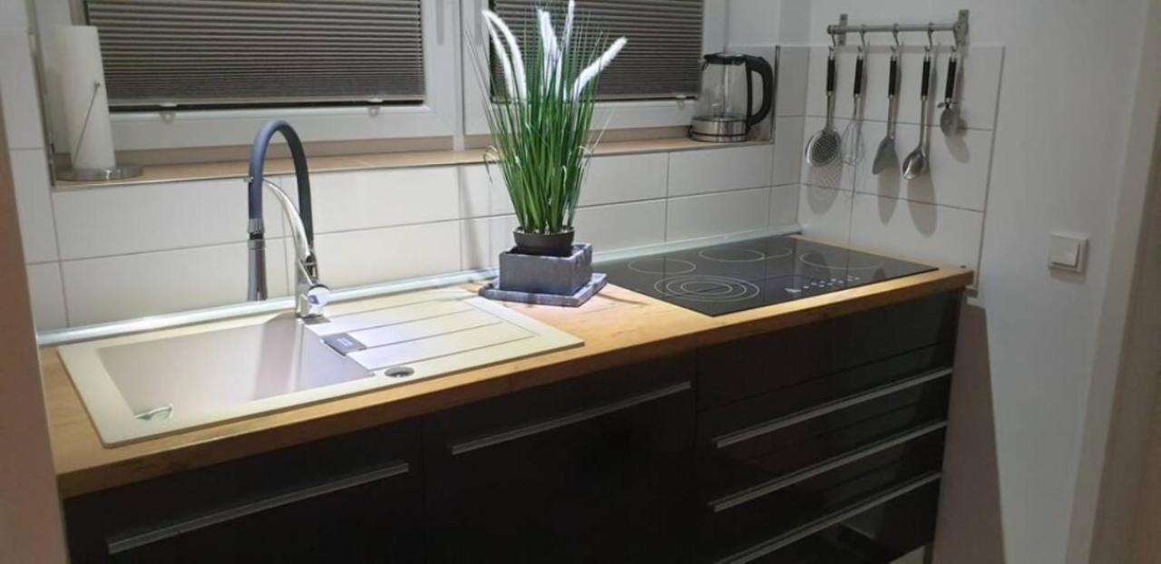 Schicke Ferienwohnung Mit Harzblick Fuer 1-2 Oder 1-4 Personen Гослар Экстерьер фото